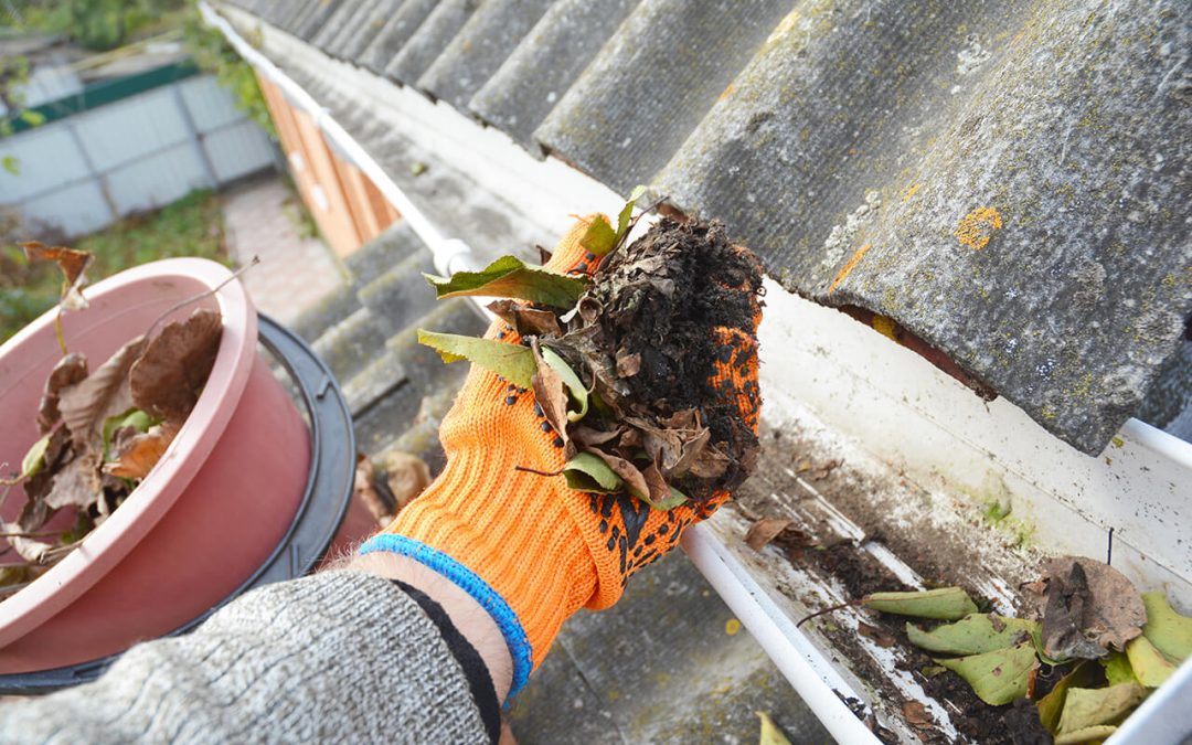 home maintenance you shouldn't ignore
